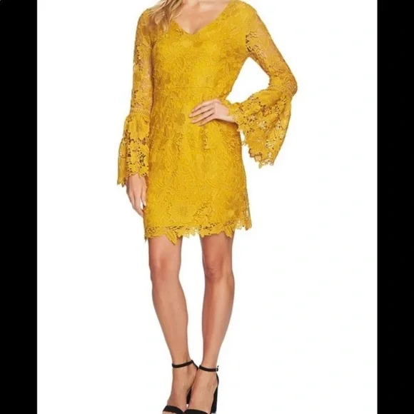 Cynthia Steffe Dresses Cynthia Steffe Lord Taylor Womens